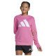 Adidas Παιδικό φούτερ Essentials Big Logo French Terry Sweatshirt Adidas Παιδικό φούτερ Essentials Big Logo French Terry Sweatshirt